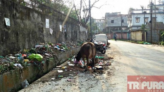 AMC Mayor’s own area turns litter dump : Unhygienic condition swells in rainy season at Agartala city AMC Mayor’s own area turns litter dump : Unhygienic condition swells in rainy season at Agartala city